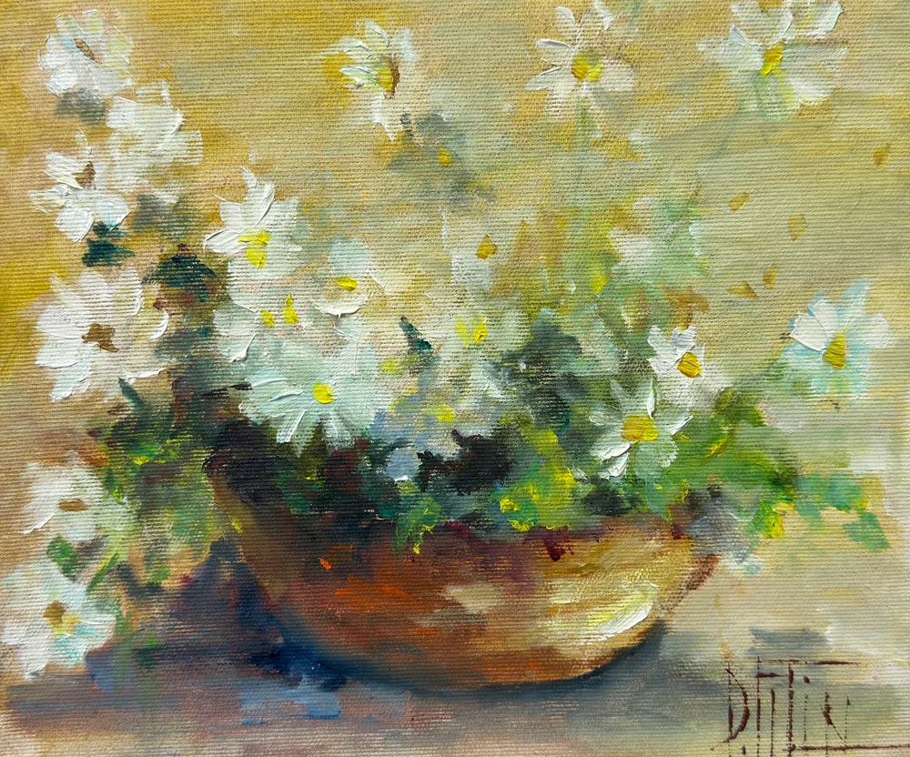 Still Life